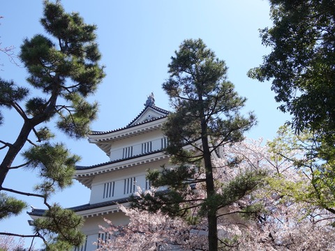 2019.4.13-14 (16)