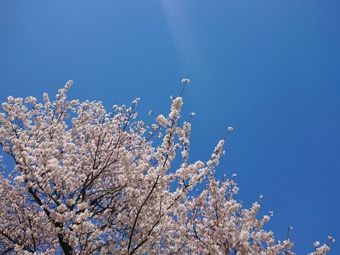 2019.4.13-14 (7)