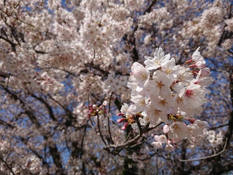 2019.4.13-14 (8)