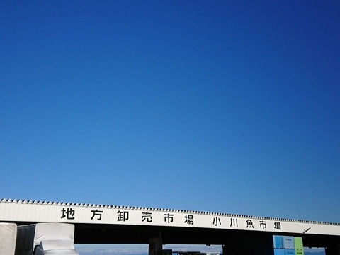2018.12.8~9 (24)