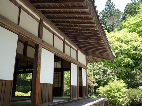 2019.5.11-12 (60)