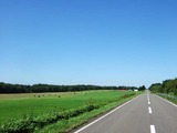 ƻƻ830����������
