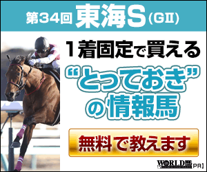 PNGワールド：東海Ｓ300-250