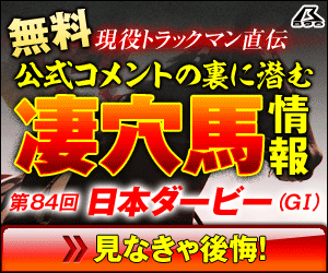 png暴露王:日本ダービー300_250