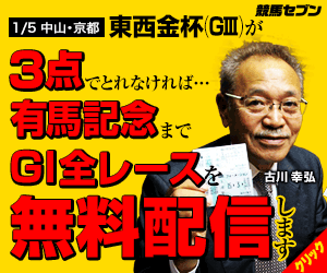 七騎の会：金杯300_250