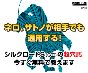 ワールド：シルクロードＳ300-250