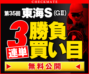 チェックメイト:東海S300_250