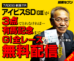 PNG七騎の会:アイビスSD300_250