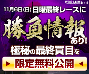 ワールド：ＡＲ共和国杯週300-250