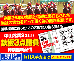 PNGホースメン:中山牝馬S300_250