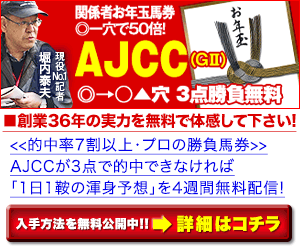 PNGホースメン会議：アメリカJCC300_250