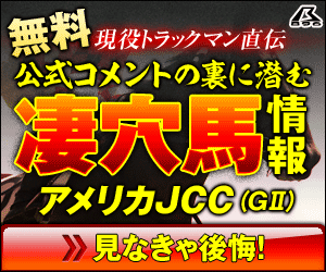 PNG暴露王：アメリカJCC300_250