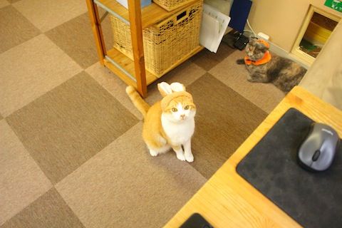 IMG_4390