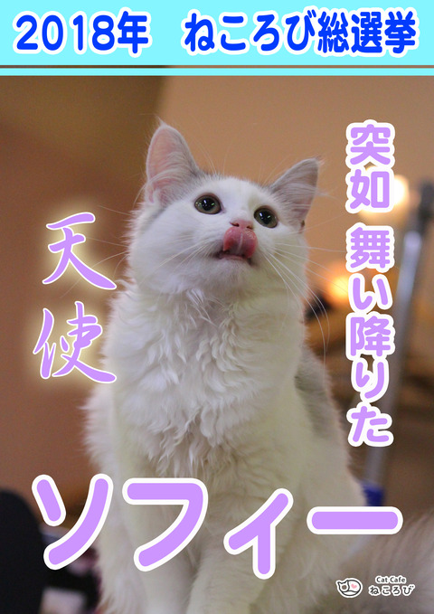 総選挙2018ソフ