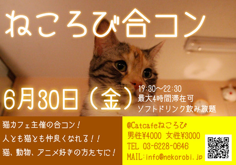 合コンフライヤー7