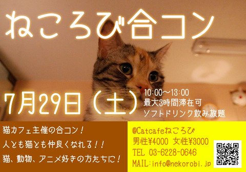 合コンフライヤーのコピー