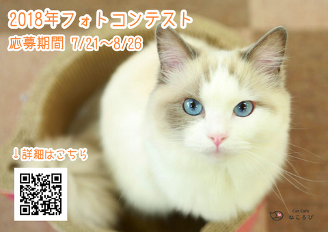 フォトコンポスター（仮）