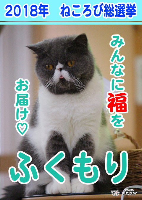総選挙2018ふく