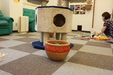 猫壷