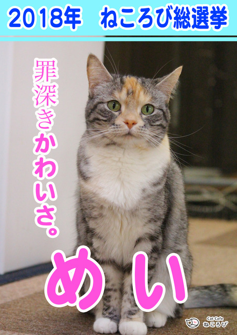 総選挙2018めい