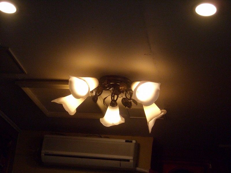 DSCN7218