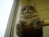 DSC02897