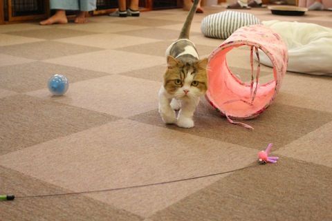 IMG_1052
