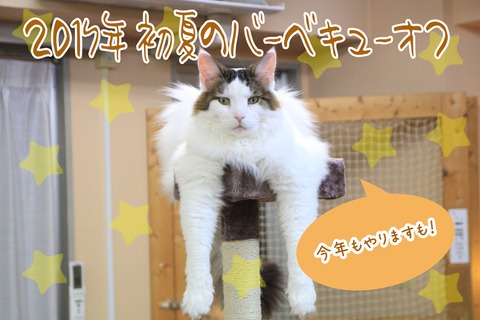 IMG_2086のコピー