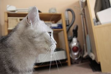 IMG_2742