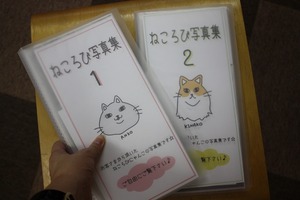 ねころび写真集