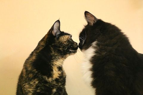 甘いひととき のコピー