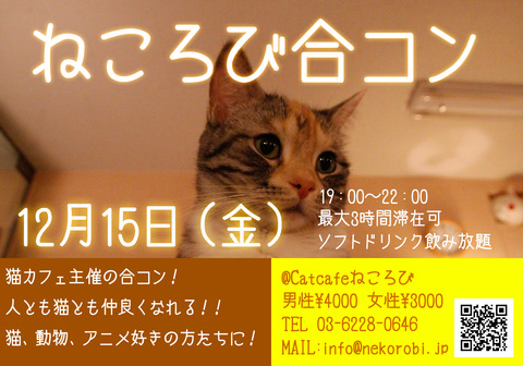 合コンフライヤー