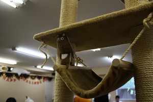 身動きがとれません
