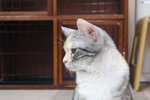 IMG_6603