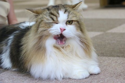 03_ウィンクできたかな? のコピー