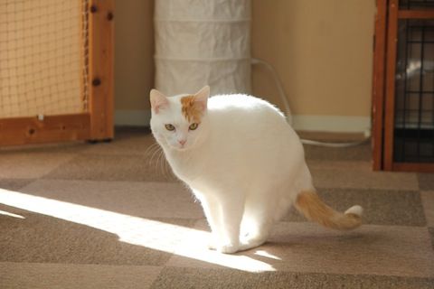 IMG_6490