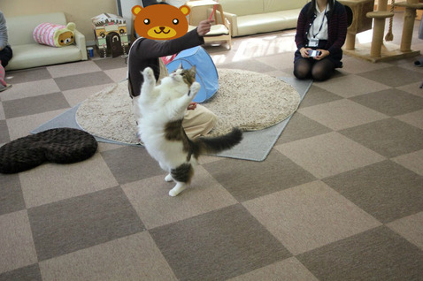 BlogPaint