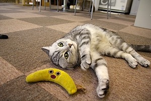IMG_5493