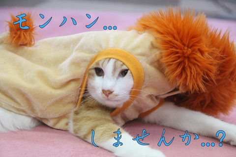 モンハン4
