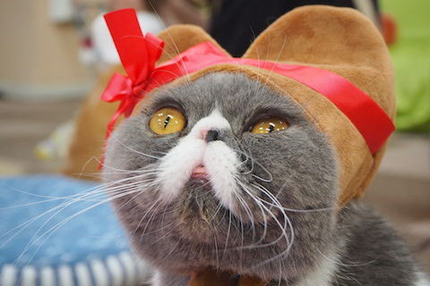 あんびんさん