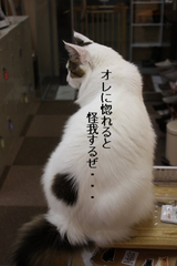 BlogPaint