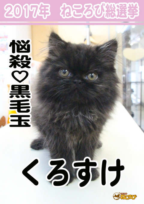 くろすけ