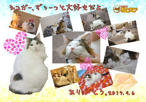 シュガー卒業ブロマイド
