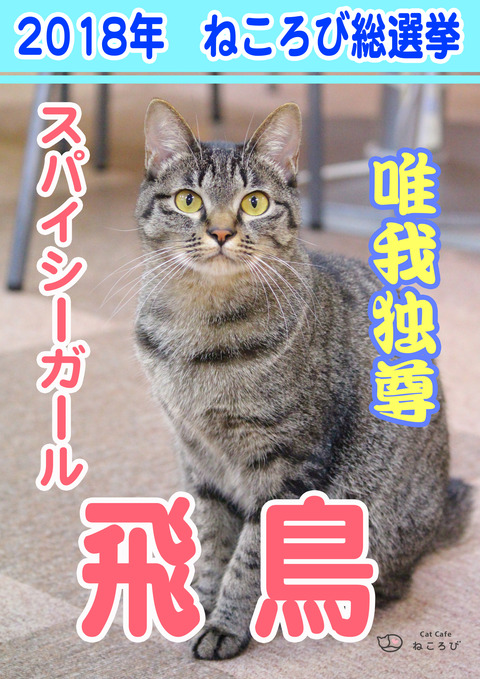 総選挙2018飛鳥