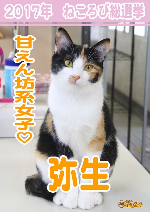 弥生