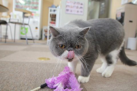 IMG_5520