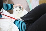 アイシャちゃん!