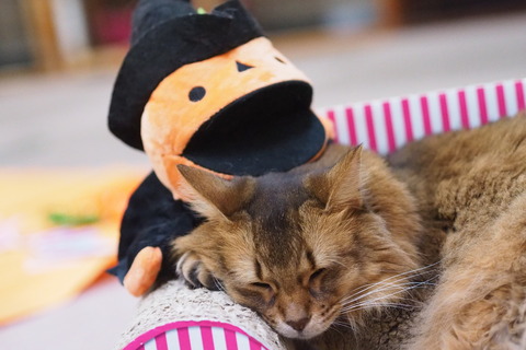 あんびんさん
