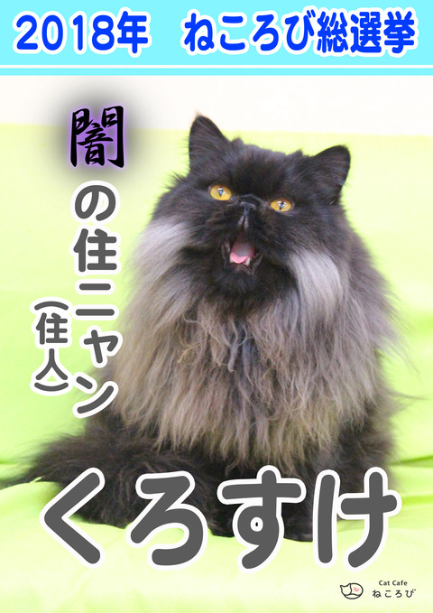 総選挙2018くろ