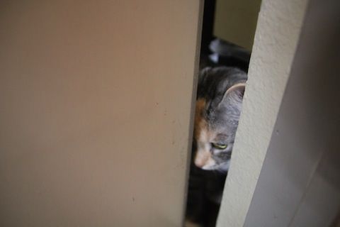 IMG_5629